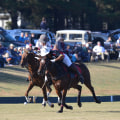 Parking at Polo Sporting Events in Aiken, South Carolina