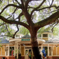 The Growing Presence of Local Vendors and Merchants at Polo Sporting Events in Aiken, South Carolina