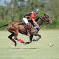 Volunteer Opportunities at Polo Sporting Events in Aiken, South Carolina