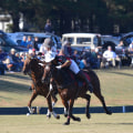 The Fascinating World of Polo in Aiken, South Carolina
