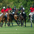 The Weather at Polo Sporting Events in Aiken, South Carolina