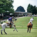 The Ultimate Guide to Attending Polo Sporting Events in Aiken, South Carolina