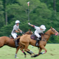 The Fascinating World of Polo in Aiken, South Carolina