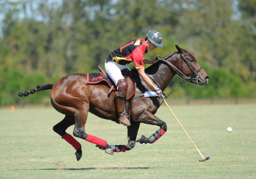 The Growing Presence of Local Vendors and Merchants at Polo Sporting Events in Aiken, South Carolina