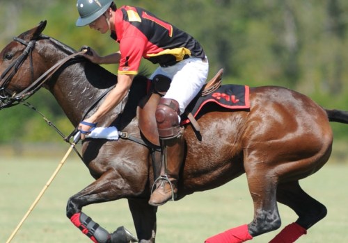 Volunteer Opportunities at Polo Sporting Events in Aiken, South Carolina