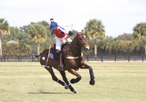 The Economic Impact of Polo in Aiken, South Carolina