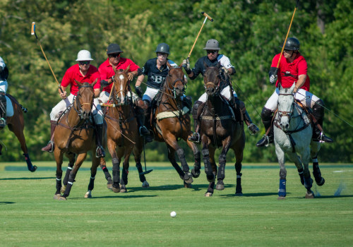 The Weather at Polo Sporting Events in Aiken, South Carolina