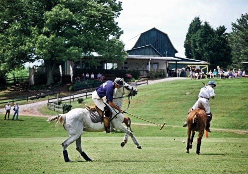 The Ultimate Guide to Attending Polo Sporting Events in Aiken, South Carolina