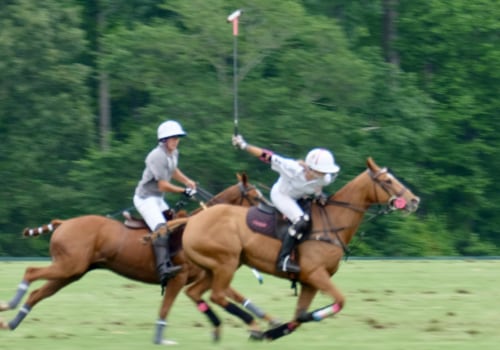 The Fascinating World of Polo in Aiken, South Carolina